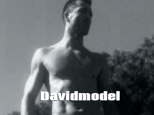 Davidmodel