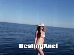 DestinyAnel