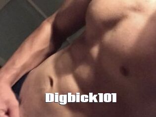 Digbick101