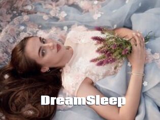 DreamSleep