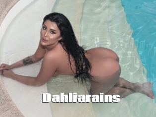 Dahliarains