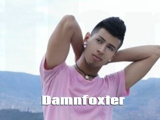 Damnfoxter