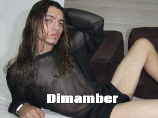 Dimamber