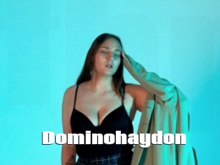 Dominohaydon