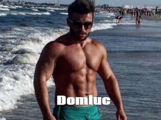 Domluc