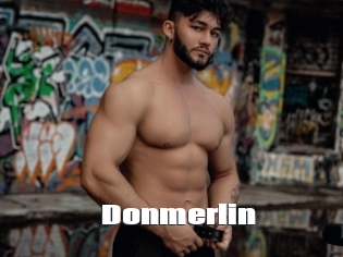 Donmerlin