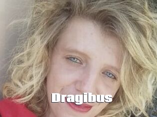 Dragibus