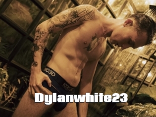 Dylanwhite23