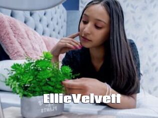 EllieVelvett