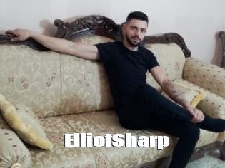 ElliotSharp The hot porn