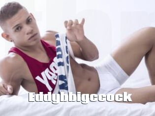 Eddybbigccock