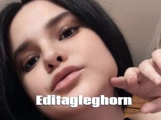 Editagleghorn