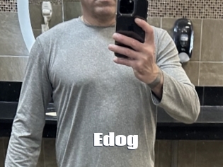 Edog