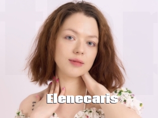 Elenecaris