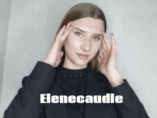 Elenecaudle