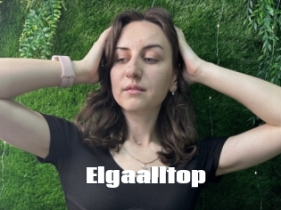 Elgaalltop