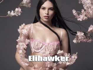 Elihawker