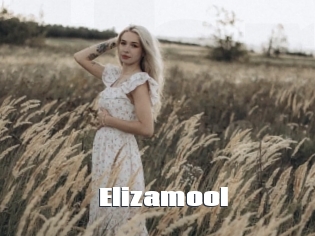 Elizamool