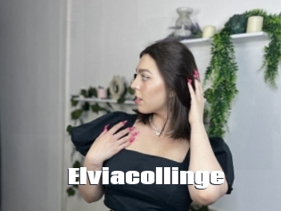 Elviacollinge