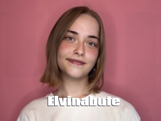 Elvinabute