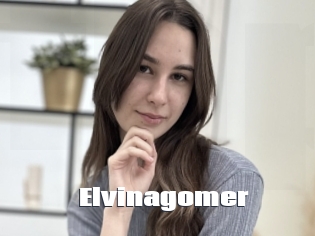 Elvinagomer