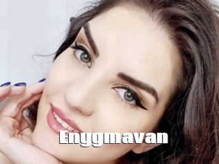 Enygmavan