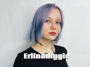 Erlinadiggle