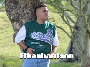 Ethanharrison