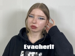 Evacherit