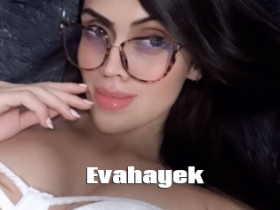 Evahayek