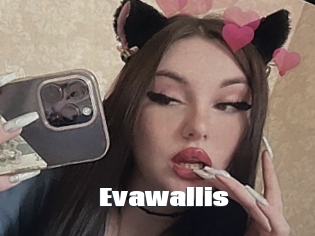 Evawallis