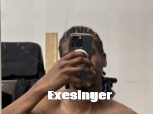 Exesinyer