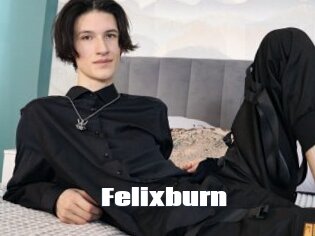 Felixburn