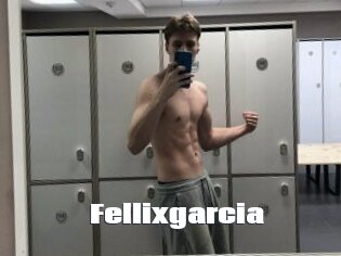 Fellixgarcia