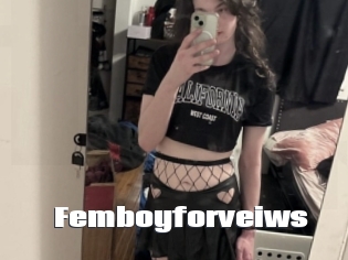 Femboyforveiws