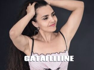 GATAFELLINE