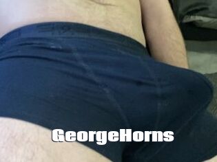 GeorgeHorns