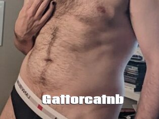 Gattorcatnb