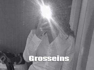 Grosseins