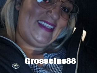 Grosseins88