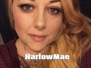 HarlowMae