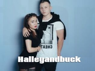 Halleyandbuck