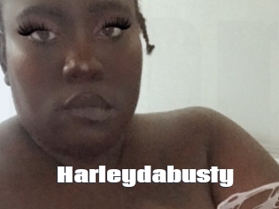 Harleydabusty