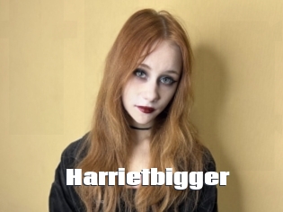 Harrietbigger