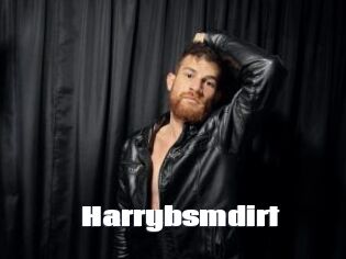 harrybsmdirt The hot porn