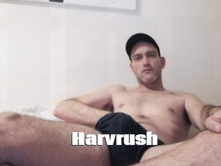 Harvrush