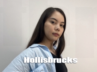 Hollisbrucks