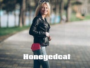 Honeyedcat