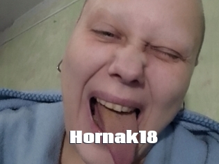 Hornak18