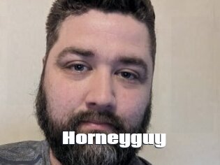 Horneyguy